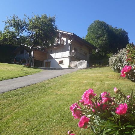 Appartement Borne Saint-Jean-dʼAulps Buitenkant foto