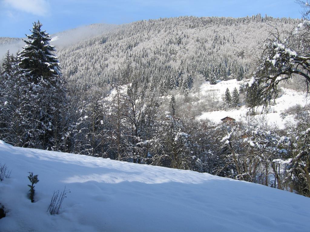 Appartement Borne Saint-Jean-dʼAulps Buitenkant foto
